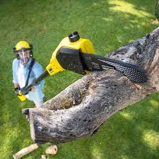 Best Organic Lawn Care Solutions  in Tarpon Springs, FL